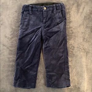 Janie and Jack Navy Velvet Pant